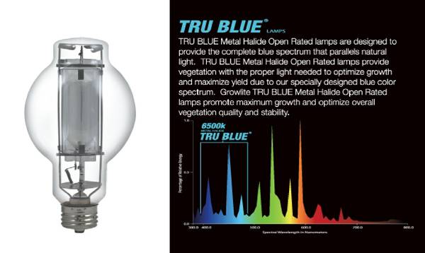 Grow Lite Tru Blue Metal Halide HID 6500K 1000W Grow Light Bulb NEW